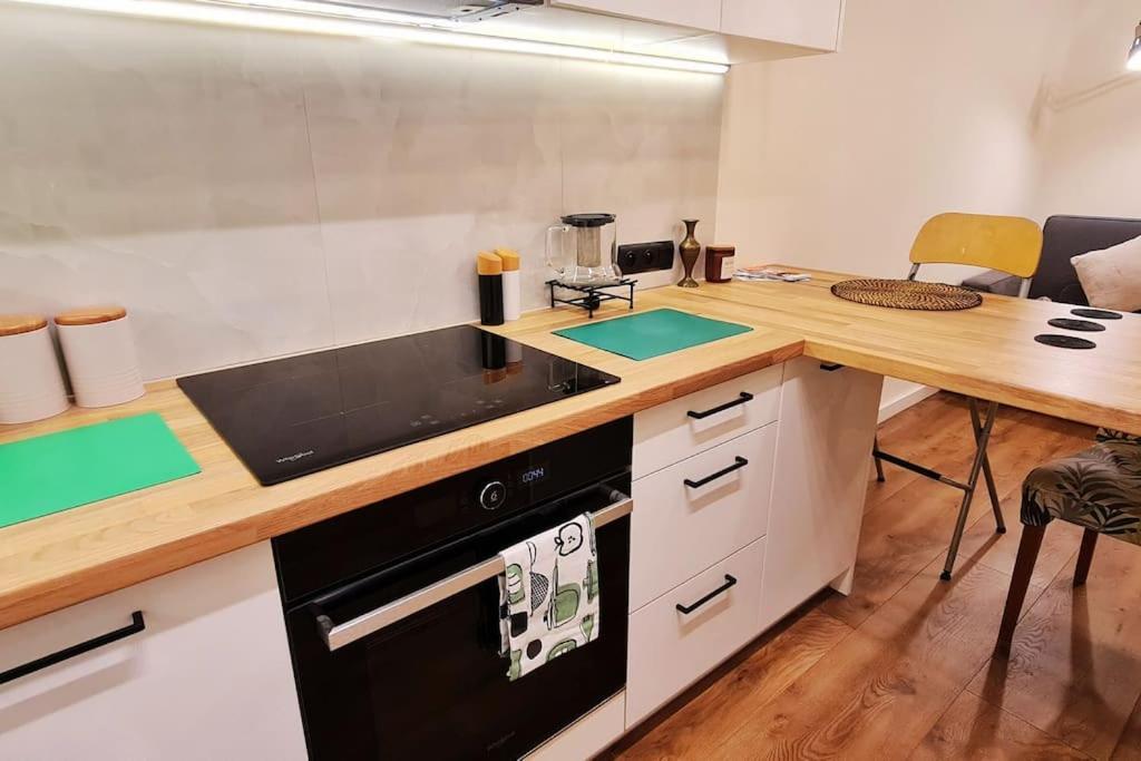 Apartament Modern 2 Bedroom Apartment/kazimierz/paulinska St.