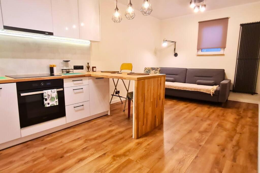 Modern 2 Bedroom Apartment/kazimierz/paulinska St. Kraków